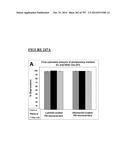 Microcarriers for Stem Cell Culture diagram and image