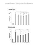 Microcarriers for Stem Cell Culture diagram and image