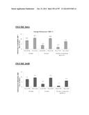 Microcarriers for Stem Cell Culture diagram and image