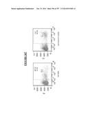 Microcarriers for Stem Cell Culture diagram and image