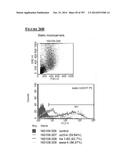 Microcarriers for Stem Cell Culture diagram and image