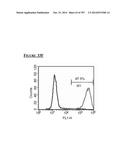 Microcarriers for Stem Cell Culture diagram and image