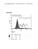 Microcarriers for Stem Cell Culture diagram and image