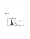 Microcarriers for Stem Cell Culture diagram and image