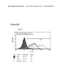 Microcarriers for Stem Cell Culture diagram and image