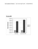 Microcarriers for Stem Cell Culture diagram and image