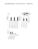 ISOLATED NAIVE PLURIPOTENT STEM CELLS AND METHODS OF GENERATING SAME diagram and image