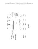 ISOLATED NAIVE PLURIPOTENT STEM CELLS AND METHODS OF GENERATING SAME diagram and image