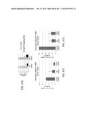 ISOLATED NAIVE PLURIPOTENT STEM CELLS AND METHODS OF GENERATING SAME diagram and image