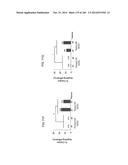 ISOLATED NAIVE PLURIPOTENT STEM CELLS AND METHODS OF GENERATING SAME diagram and image