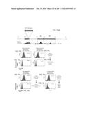 ISOLATED NAIVE PLURIPOTENT STEM CELLS AND METHODS OF GENERATING SAME diagram and image