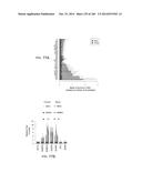 ISOLATED NAIVE PLURIPOTENT STEM CELLS AND METHODS OF GENERATING SAME diagram and image