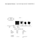 ISOLATED NAIVE PLURIPOTENT STEM CELLS AND METHODS OF GENERATING SAME diagram and image