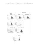 ISOLATED NAIVE PLURIPOTENT STEM CELLS AND METHODS OF GENERATING SAME diagram and image