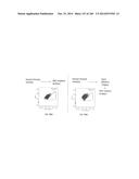 ISOLATED NAIVE PLURIPOTENT STEM CELLS AND METHODS OF GENERATING SAME diagram and image