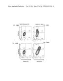 ISOLATED NAIVE PLURIPOTENT STEM CELLS AND METHODS OF GENERATING SAME diagram and image