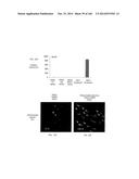 ISOLATED NAIVE PLURIPOTENT STEM CELLS AND METHODS OF GENERATING SAME diagram and image