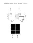 ISOLATED NAIVE PLURIPOTENT STEM CELLS AND METHODS OF GENERATING SAME diagram and image