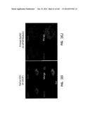 ISOLATED NAIVE PLURIPOTENT STEM CELLS AND METHODS OF GENERATING SAME diagram and image