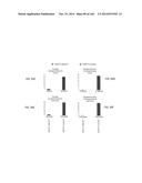 ISOLATED NAIVE PLURIPOTENT STEM CELLS AND METHODS OF GENERATING SAME diagram and image