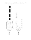 ISOLATED NAIVE PLURIPOTENT STEM CELLS AND METHODS OF GENERATING SAME diagram and image