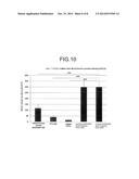 METHOD FOR PRODUCING CORNEAL ENDOTHELIAL CELL diagram and image