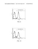 CELL CULTURE SUBSTRATE COMPRISING A LAMININ AND A CADHERIN diagram and image