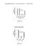 CELL CULTURE SUBSTRATE COMPRISING A LAMININ AND A CADHERIN diagram and image