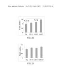 CELL CULTURE SUBSTRATE COMPRISING A LAMININ AND A CADHERIN diagram and image