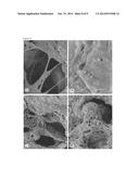 GLUCOMANNAN SCAFFOLDING FOR THREE-DIMENSIONAL TISSUE CULTURE AND     ENGINEERING diagram and image