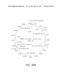 RECOMBINASE-BASED LOGIC AND MEMORY SYSTEMS diagram and image