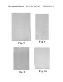 PROTEIN DETECTION diagram and image