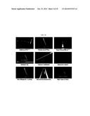 BIOMOLECULE INTERACTION USING ATOMIC FORCE MICROSCOPE diagram and image