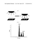 BIOMOLECULE INTERACTION USING ATOMIC FORCE MICROSCOPE diagram and image