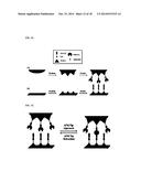 BIOMOLECULE INTERACTION USING ATOMIC FORCE MICROSCOPE diagram and image