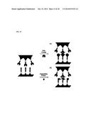 BIOMOLECULE INTERACTION USING ATOMIC FORCE MICROSCOPE diagram and image