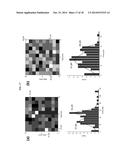 BIOMOLECULE INTERACTION USING ATOMIC FORCE MICROSCOPE diagram and image