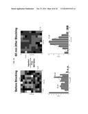 BIOMOLECULE INTERACTION USING ATOMIC FORCE MICROSCOPE diagram and image