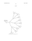 BIOMOLECULE INTERACTION USING ATOMIC FORCE MICROSCOPE diagram and image