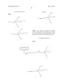 BIOMOLECULE INTERACTION USING ATOMIC FORCE MICROSCOPE diagram and image