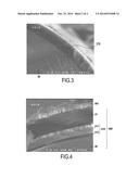 METHOD OF TREATING CERAMIC FIBERS BY PHOSPHATING diagram and image