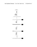 METHODS AND SYSTEMS FOR SEQUENCING LONG NUCLEIC ACIDS diagram and image