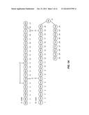 CHEMICALLY AND THERMODYNAMICALLY STABLE INSULIN ANALOGUES AND IMPROVED     METHODS FOR THEIR PRODUCTION diagram and image