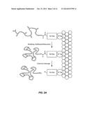 CHEMICALLY AND THERMODYNAMICALLY STABLE INSULIN ANALOGUES AND IMPROVED     METHODS FOR THEIR PRODUCTION diagram and image