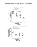 CALCIMIMETICS AND METHODS FOR THEIR USE diagram and image