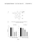 OPHTHALMIC PREPARATIONS BASED ON PACAP (PITUITARY ADENYLATE CYCLASE     ACTIVATING POLYPEPTIDE) WHICH RESTORE THE NORMAL VISUAL FUNCTION IN EARLY     GLAUCOMA diagram and image