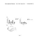 TREATMENT OF CANCER WITH DIHYDROPYRAZINO-PYRAZINES diagram and image