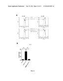 TREATMENT OF CANCER WITH DIHYDROPYRAZINO-PYRAZINES diagram and image