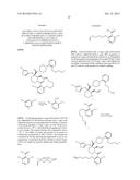 MACROCYCLES THAT INCREASE p53 ACTIVITY AND THE USES THEREOF diagram and image