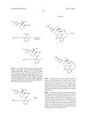 MACROCYCLES THAT INCREASE p53 ACTIVITY AND THE USES THEREOF diagram and image